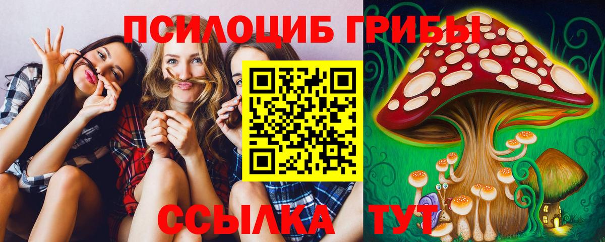 Псилоцибиновые грибы Cubensis Осинники